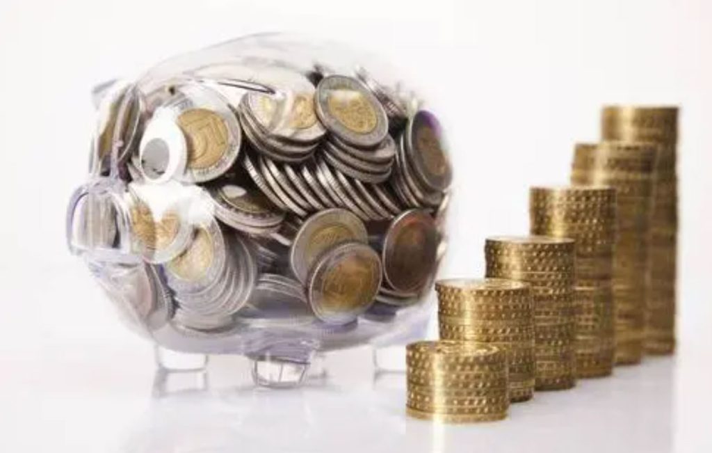 how much pigging system cost